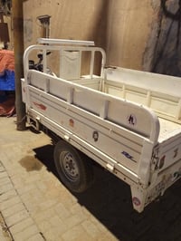 ستوتة • دايون ١٧ • رقم وسنوية