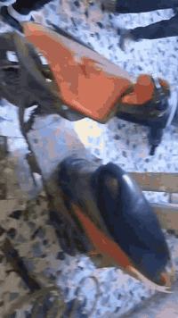 ماكس عدله بلاديه مكينته خير من الله كفرات بلادي بس سويت حادث وارد ابيع...