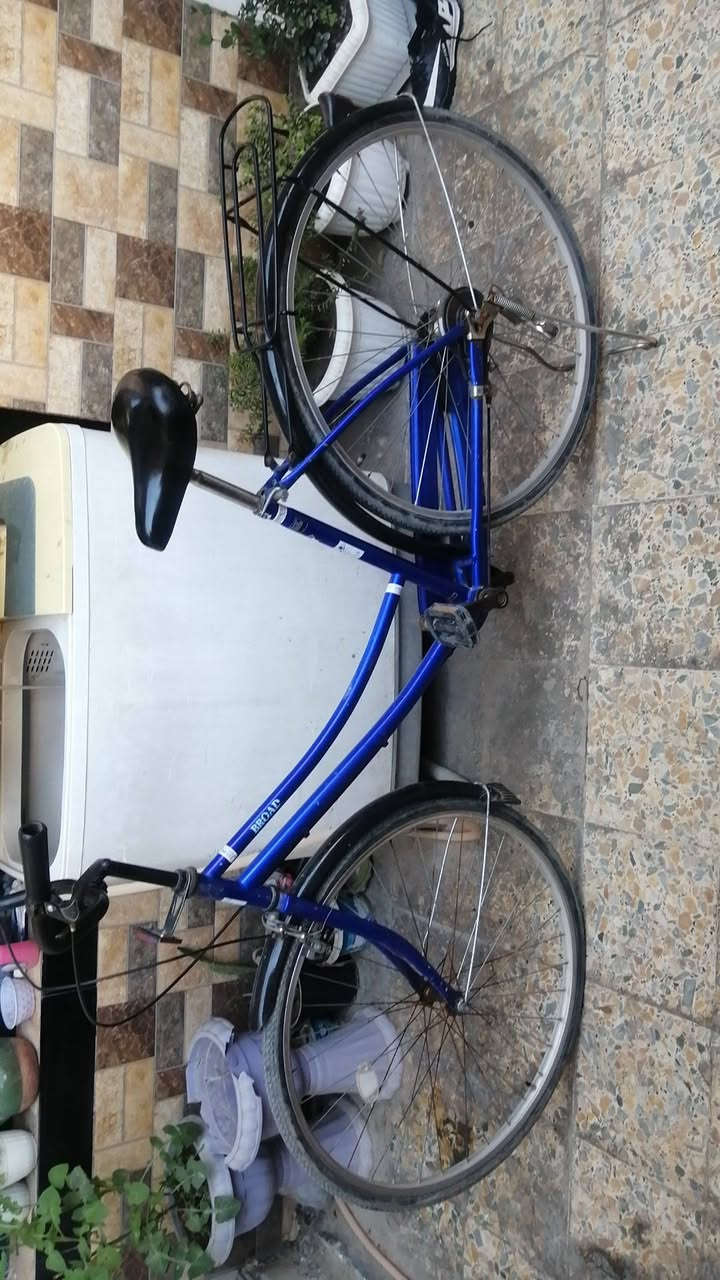 السعر 75 وبي مجال


**إذا كنت صاحب هذا الإعلان وتريد حذفه لأي سبب، رجاءا أرسل رسالة إلى الدعم الفني**