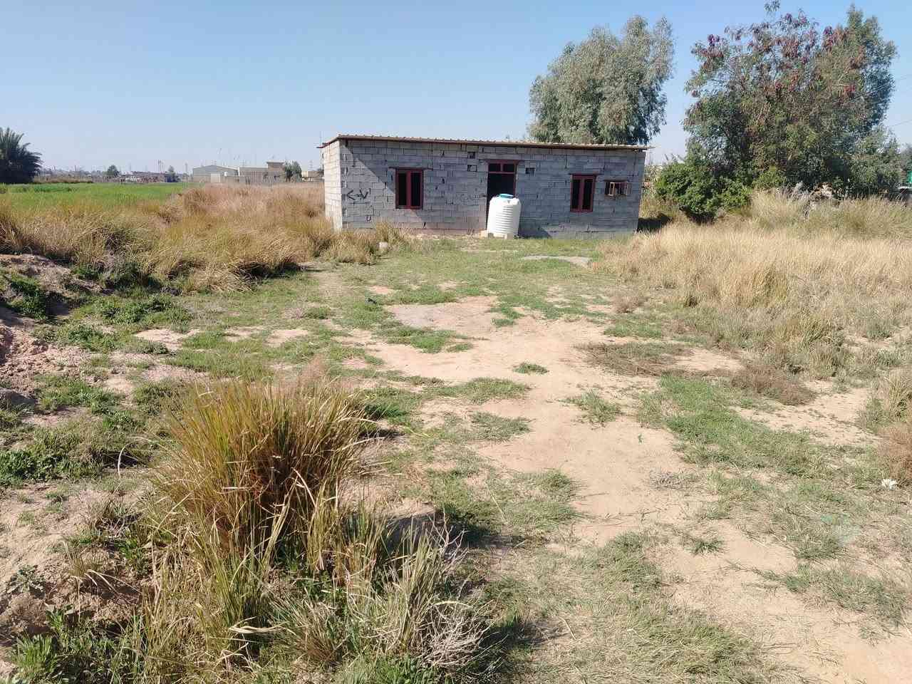 سلام عليكم  قطعه مساحه800م
تنبع قسم عادي
مكان ممتاز طريق طريق بغداد كوت قريب على حولي
قريب على شارع بغداد ١٥٠ متر
استفسار أكثر اتصل ***********
