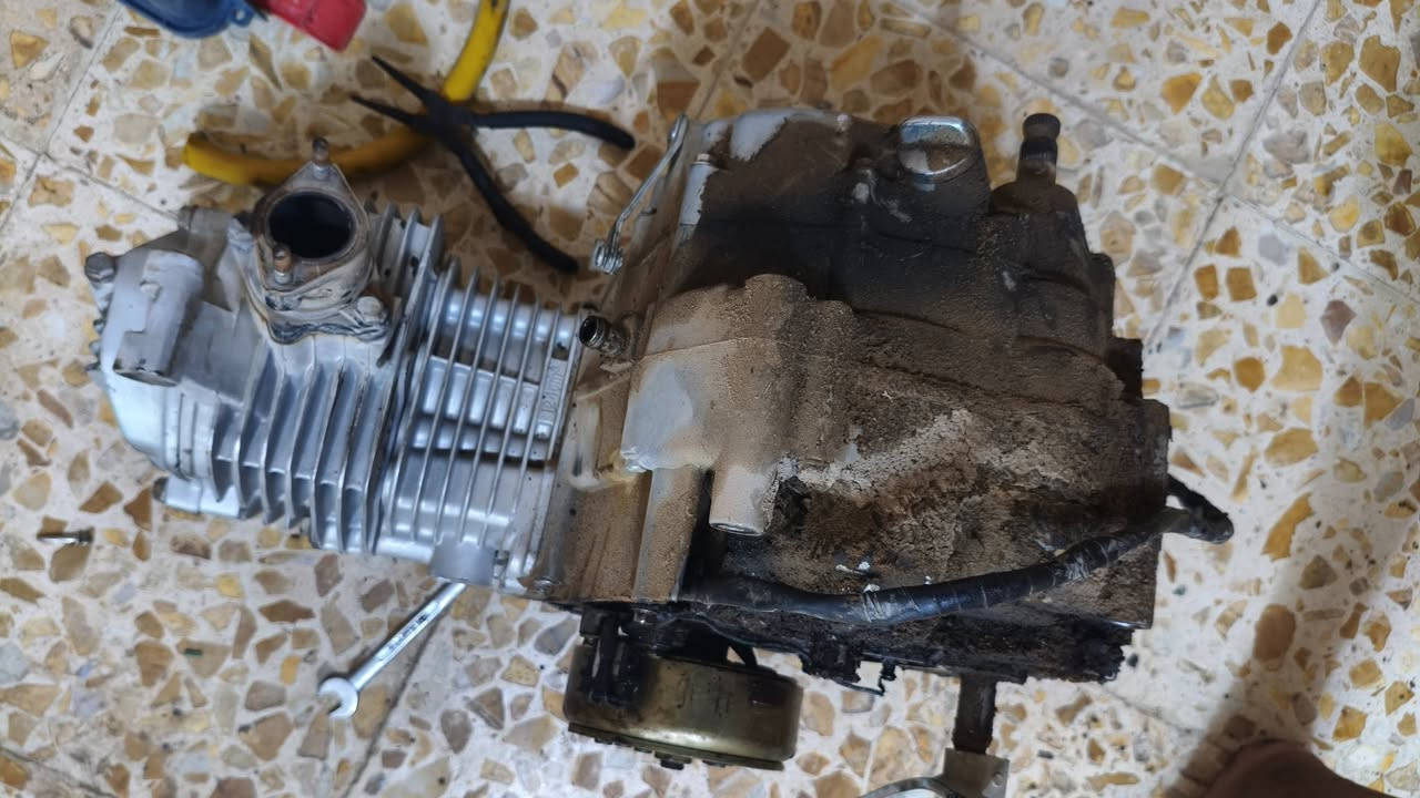 السلام عليكم محرك اربع كير شغال بي صوت بيع ع هاي وضعيه ريده ب50 بي مجال مكاني نجف حي ميلاد الي حب تراسل وياي دخل خاص بس شرار موشراي لا دراسل


**إذا كنت صاحب هذا الإعلان وتريد حذفه لأي سبب، رجاءا أرسل رسالة إلى الدعم الفني**