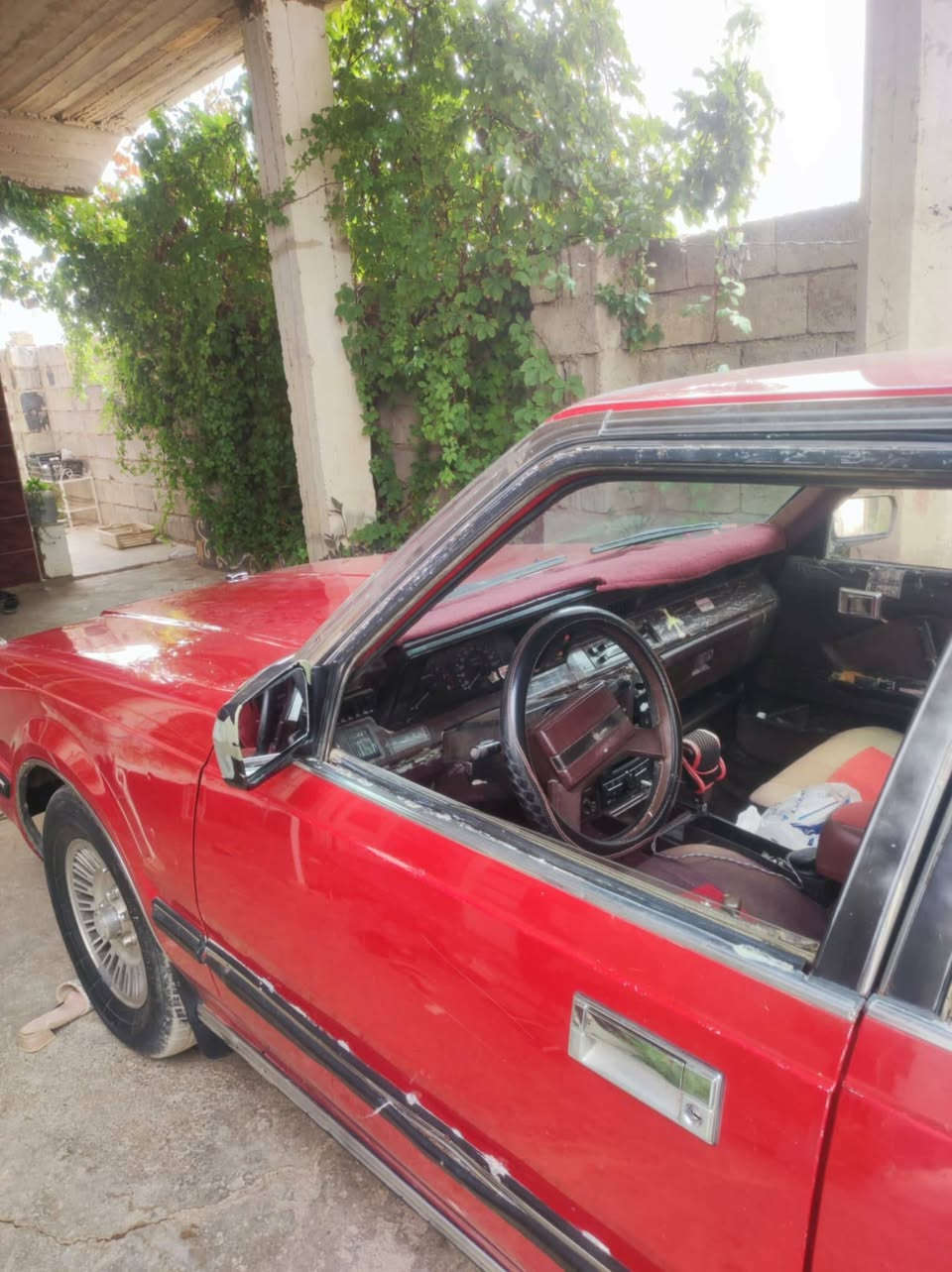 السلام عليكم
وين جيل الطيبين ؟ 
سوبر موديل 1986 
للبيع. سيارة گير محرك شرط 
صدر امامي خلفي طبة 
طخم تاير جديد 
چاملغ الخلفي بي صبغ و الباقي بلادي 
رقم الماني السنويه لل 2029 
اعتذر عن المراوس بيع فقط 
السعر 50 و بيها مجال 
للاستفسار اتصل ***********
