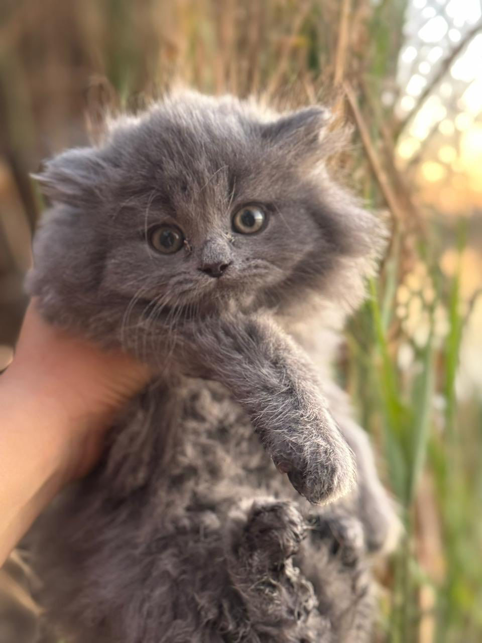 اغراض للبيع نضيفه واسعار مناسبه


**إذا كنت صاحب هذا الإعلان وتريد حذفه لأي سبب، رجاءا أرسل رسالة إلى الدعم الفني**