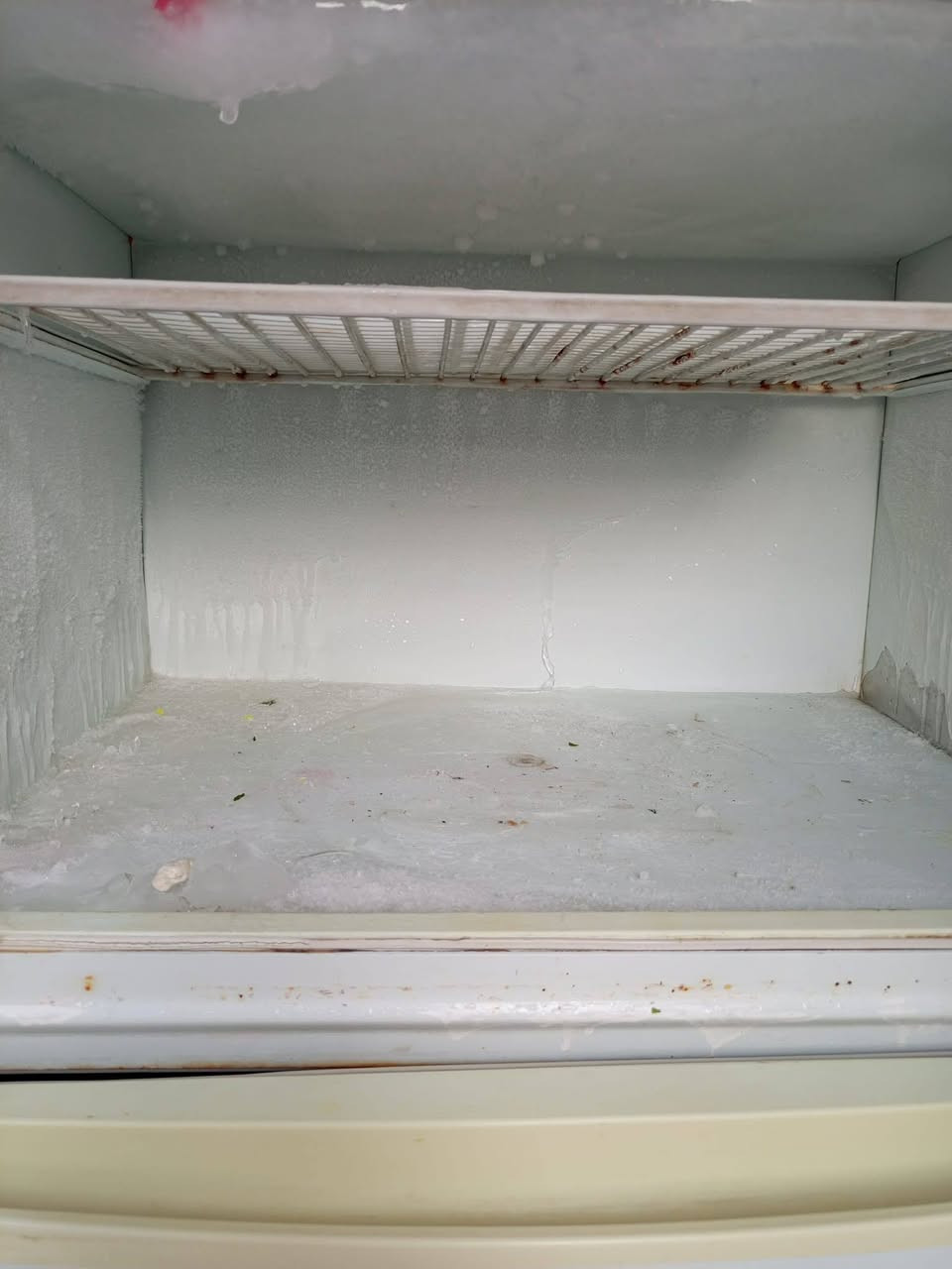 ثلاجه مصريه كبيره مبدل ماطور شغاله على الفحص السعر ١٥٠ وبي مجال قليل


**إذا كنت صاحب هذا الإعلان وتريد حذفه لأي سبب، رجاءا أرسل رسالة إلى الدعم الفني**