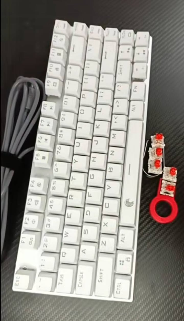 للبيع كيبورد ميكانيك RGP مكاني النجف السعر 30


**إذا كنت صاحب هذا الإعلان وتريد حذفه لأي سبب، رجاءا أرسل رسالة إلى الدعم الفني**