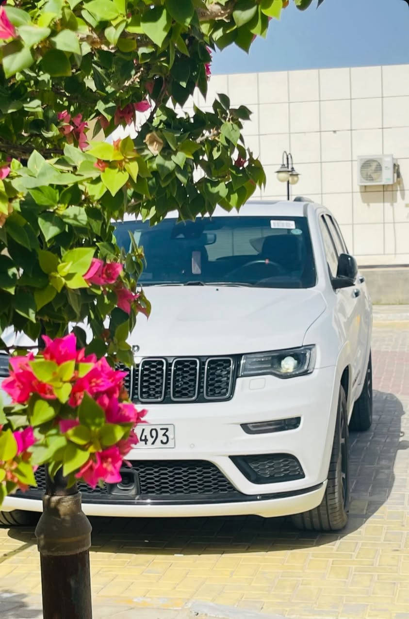 سلام عليكم 
جيب كراند شيروكي فئة ال  S اس ( خـليـجـي ) ام رادار 
‏‎موديل 2022  فول مواصفات وكالة هارلم ام ضمان 
المحرك : V6.  3.6L ‎  
ملاحظه السياره مغلفه بي بي اف بل كامل PPF
وتحتوي ع تضليل كتاب رقم اربيل الجديد بسمي تحويل ثاني يوم  ؟
سياره مكفوله من الصبغ و التبديل و البارد 
‏‎ ماشيه 21 الف ميل  حقيقي شرط فحص 
سياره جديده جدا ارضيات الشركه بل جيس 
سياره جديده استخدم شخصي و قليل 
‏‎ السيارة وكالة  داخل احمر بلادي المرغوب 📍❤️
لون ابيض سياره جديده بمعنى الكلمه 
‏‎* المواصفات :
‏‎*رادار امامي وجانبي 
‏‎* نقطة عمياء .
‏‎*داخل جلد 
‏‎* دفع رباعي 4x4 . 
‏‎* فرش المقاعد من الجلد . 
‏‎*صفي المقاعد الأمامية كهربائية .
‏‎* ذاكرة لحفظ وضعيات الجلوس . 
‏‎* صفي المقاعد الأمامية مع تدفئة . 
‏‎* صف المقاعد الخلفية مع تدفئة . 
‏‎* ويل قياس 20 انج .
‏‎* مقود السائق كهربائي . 
‏‎* تدفئة ستيرن . 
‏‎* سقف بانوراما .
‏‎* شاشه كبيرة 8.4 انج .
‏‎* نظام الملاحة (GPS) . 
‏‎* نظام خاص للطرق الوعرة . 
‏‎* مصابيح امامية زنون . 
‏‎* المصابيح الأمامية مع LED لايت . 
‏‎* كشافات ضباب بروجكتر زنون . 
‏‎* تشغيل عن بعد .
‏‎* صندوق كهربائي .
‏‎*  حساسات أمامية . 
‏‎*  حساسات خلفية .
‏‎* كاميرا خلفية .
‏‎* بخاخ ماء لتنظيف المصابيح الامامية .
‏‎* مرايا بخاصية التعتيم الذاتي . 
‏‎* مرايا جانبية قابلة للطي . 
‏‎* بلوتوث تلفون . 
‏‎* محدد سرعة . 
‏‎* نظام تشغيل واطفاء اوتماتيكي للمحرك للتوفير من صرف الوقود . ( Auto Start System ) .
‏‎* نظام بريك اوتماتيكي ( Auto Break System ) .
💲 

‏‎للاستفسار اكثر  ***********
مكاني رمادي
بيع فقط
