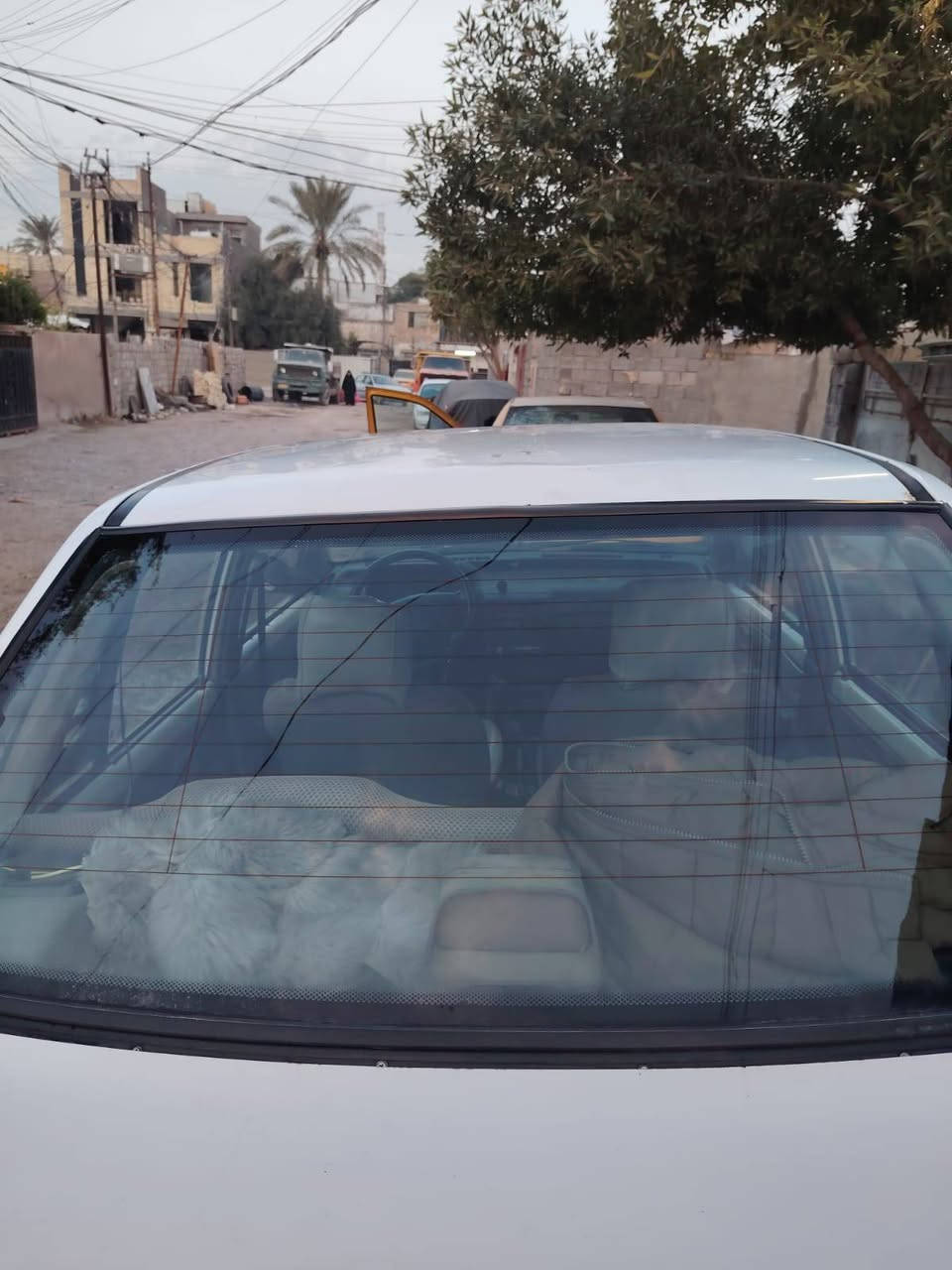 سايبا 2009 بغداد نضيفة كفاله عامه حداديه مكينه كير جدد تبريد تدفئه شغال 🥶 تخم تاير جديد تحويل مباشر ب اسمي سعر 35 بيها مجالل
***********
