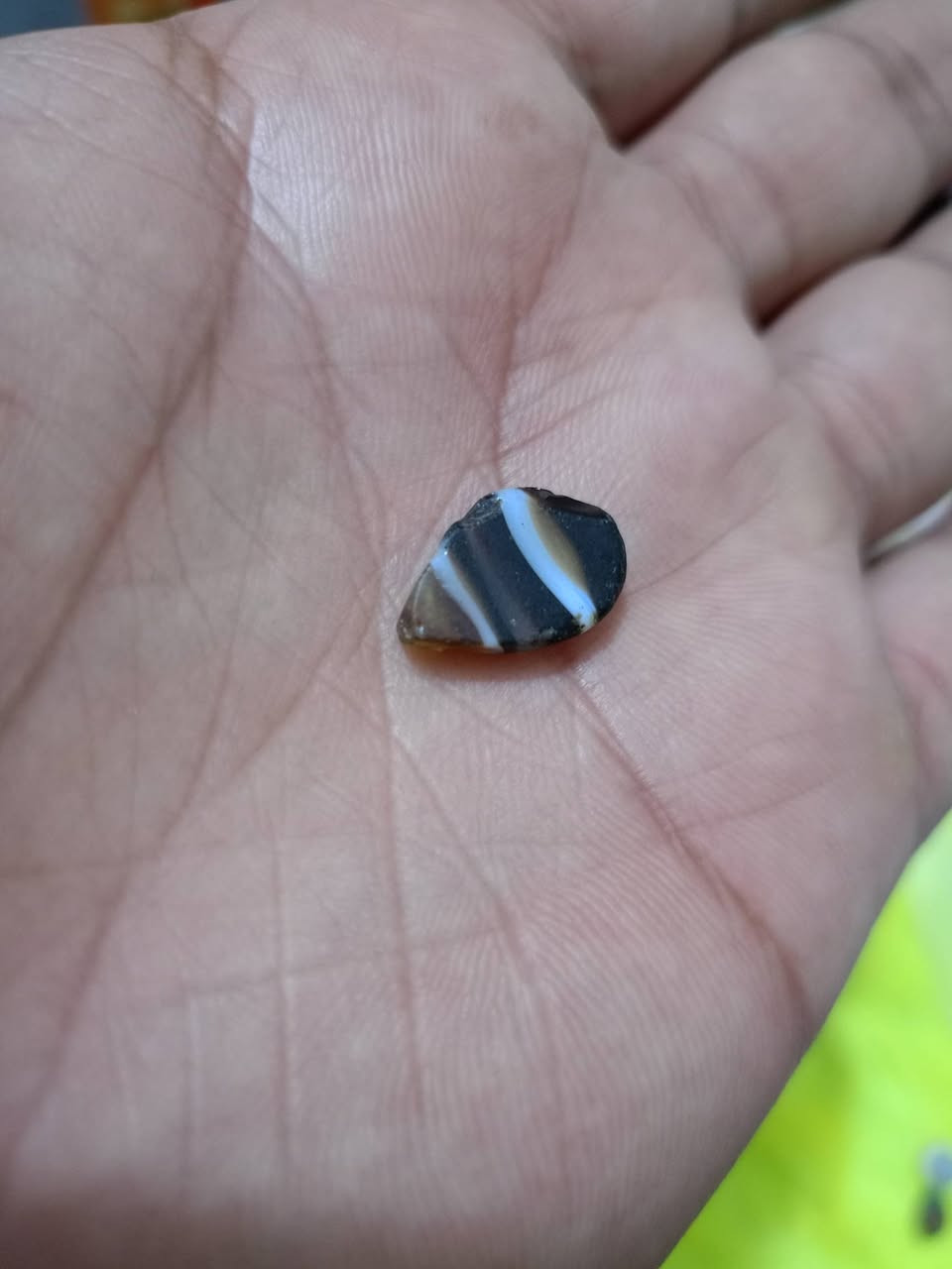 جزعات 2 ملاگط 75 ألف 
العنوان//الكوت ....***********
