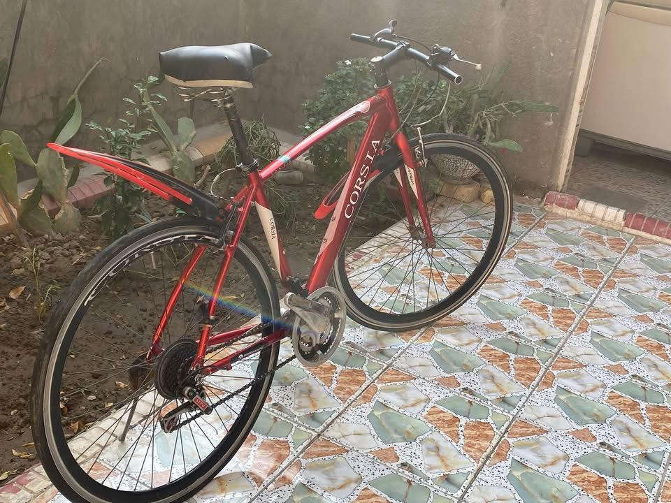 السلام عليكم بايسكل للبسع رياضي أسمه c700. حجمه 28. موديل 2017 مكفول مامبدل بي أي شي فقط السرج كله شغال هو أحله من الصوره جديد المكان بابل الحمزه الغربي للتصال عله هذه الرقم فقط واتساب *********** السعر 145. وبي مجال للشراي
