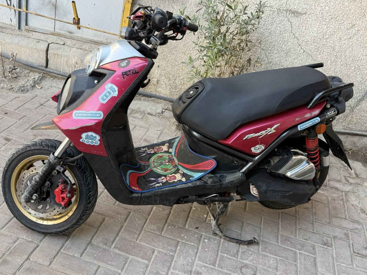 جبلي مكينه بلاد كفاله عامه بيهه كلج امامي و قبغ كلاجات كوسو و صالنصه و سلف كوسو و بيهه بعد غراض كامله اي نقص مابيهه سعر 950 مكان بغداد كريعات 
*********** 
***********
