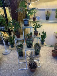 بابل مسيب • شارع الاول • كمية محدودة