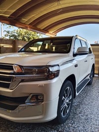 فوول • ٢٠٢٠ • ٦١ الف