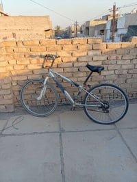 ياباني • بسكليت