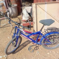 باسكل • مقاس ١٩ • موديل ٢٠١٩