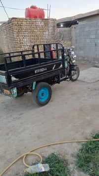 ستوته البيع الستوته كفاله شاصي تعال اوكلب مكينه جبرين 18 مقدام كل شغال...