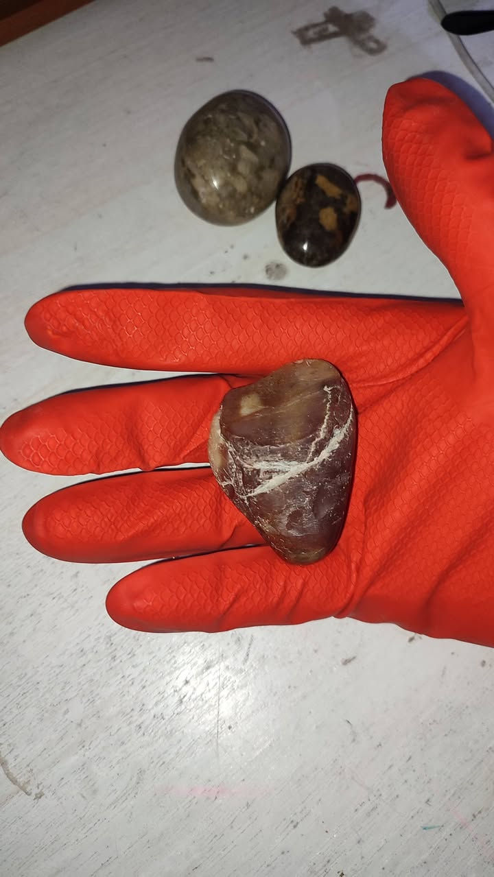 سبحان المصور


**إذا كنت صاحب هذا الإعلان وتريد حذفه لأي سبب، رجاءا أرسل رسالة إلى الدعم الفني**