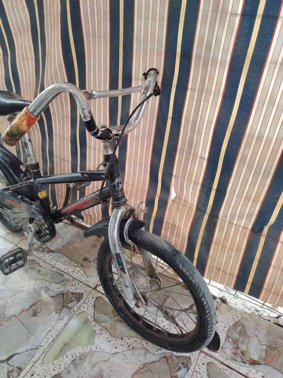 نضيف عوزه نواقص بسيطه ب25


**إذا كنت صاحب هذا الإعلان وتريد حذفه لأي سبب، رجاءا أرسل رسالة إلى الدعم الفني**