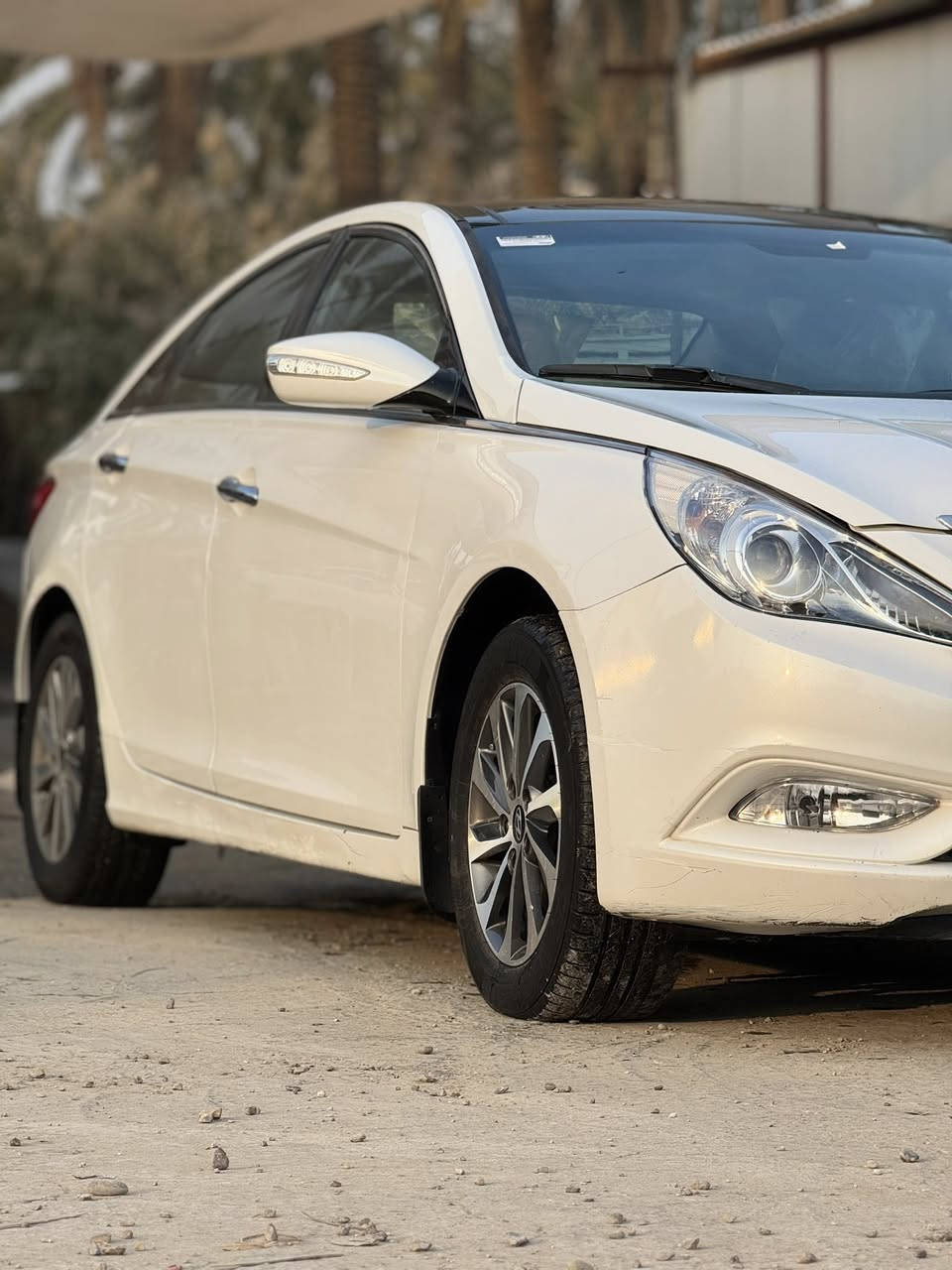 للبيع سوناتا 2011 فول مواصفات بنوراما اشارة بل مرايه تبريد قطعتين تحكمات مري شفط مكينه 2400 ماشيه 236 حقيقي بيها كلير 4 قطع بدون دواخل وبدون فتح وبدون تبديل سياره خير من الله جاهزه مكينه كير تبريد ثلج حداديه جديده رقم بغداد دولي بسمي المكان بابل سعر109 بيها مجال بسيط
***********
