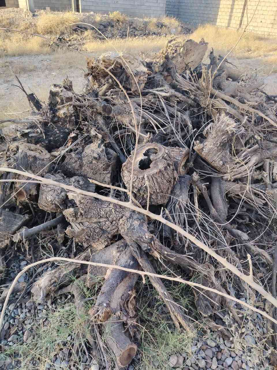 اسلام عليكم يوجد حطب يابس للبيع السعر 150.   الاستفسار الاتصال على الرقم ***********
