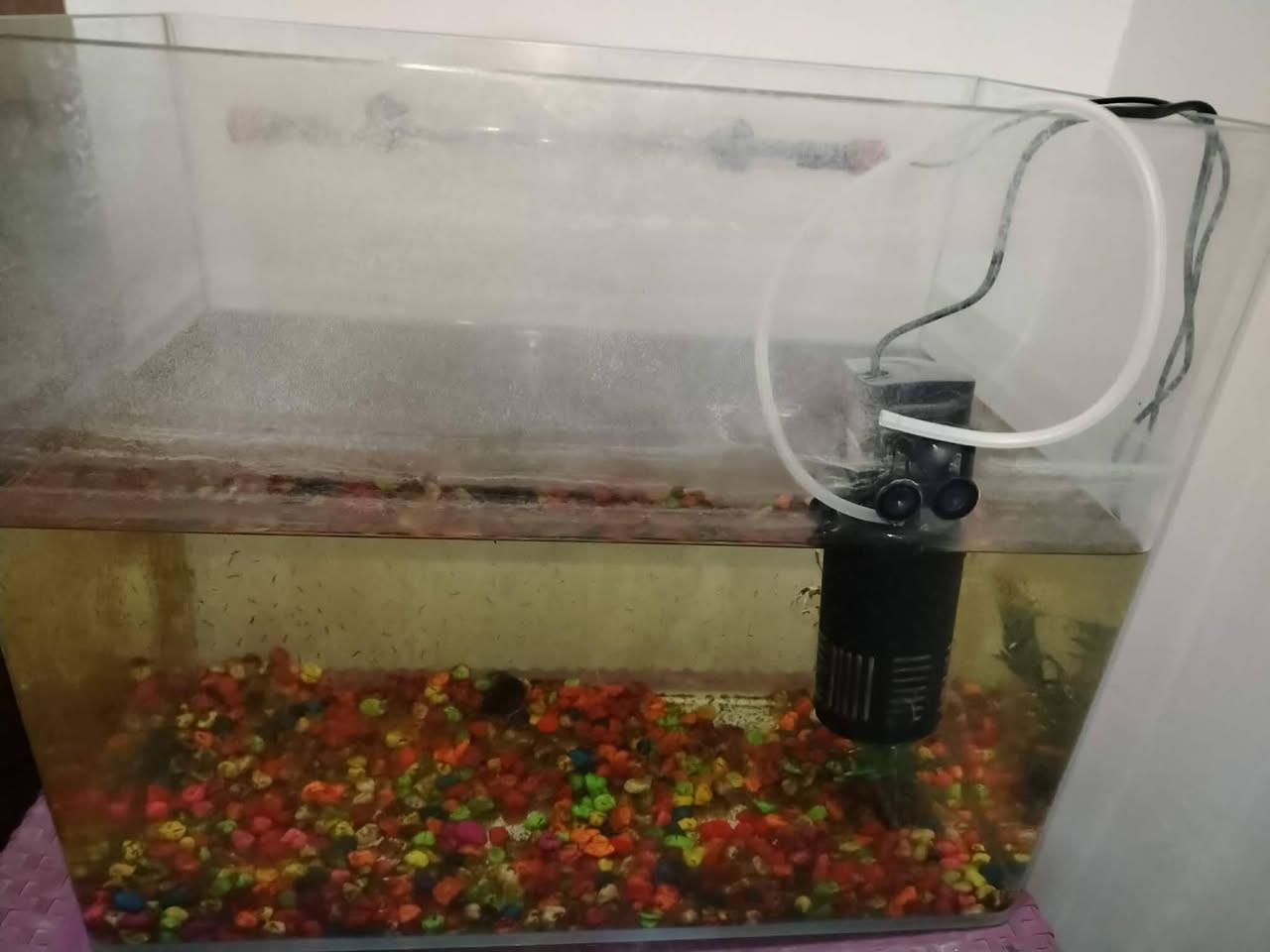 حوض اسماك ستعمال مرى واحدة سبب البيع ماتن سمجات سعر 30 
***********
