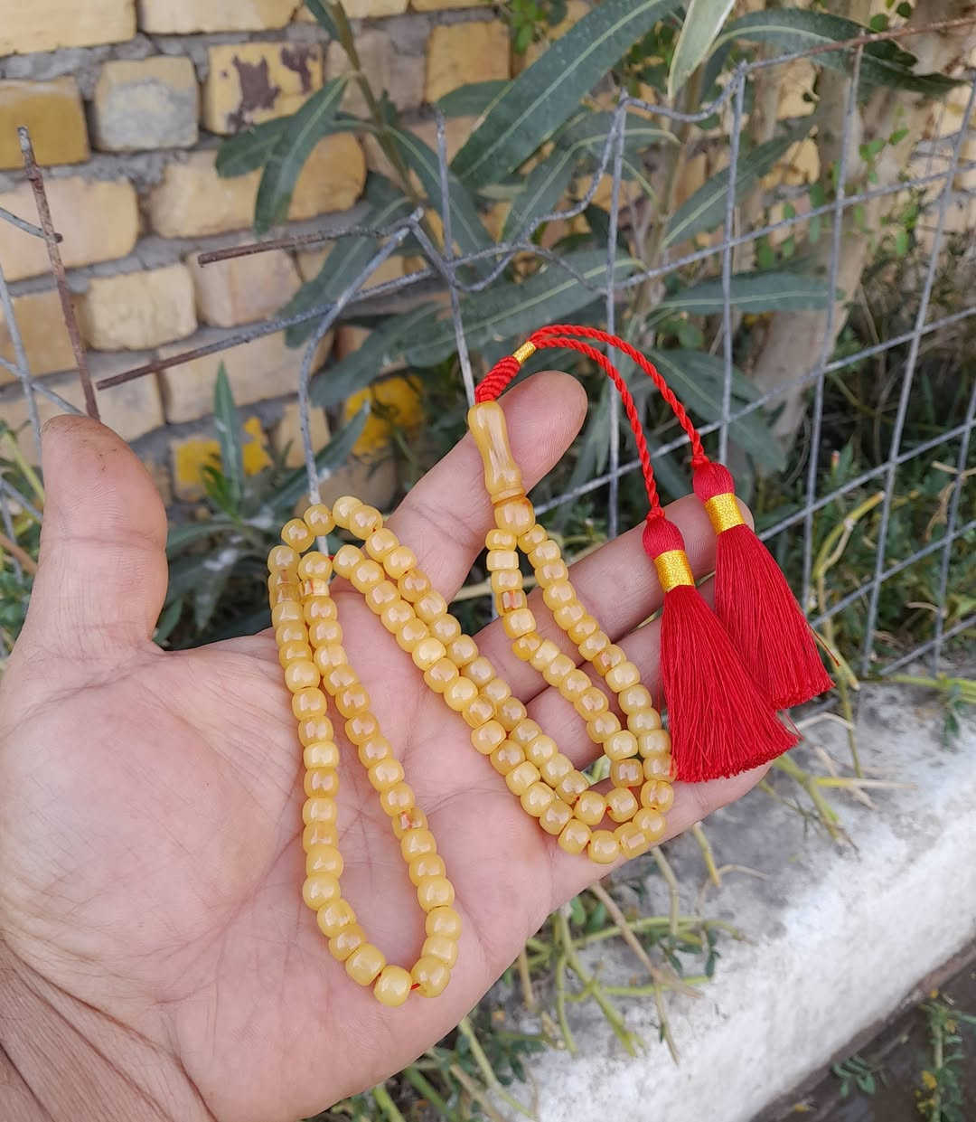 ياالله.. سندلوس ألماني قديم مشروط معرك 101 وزن 31 غرام ملاحظه الخرز متفاوته من القدم الشراي يتفضل خاص


**إذا كنت صاحب هذا الإعلان وتريد حذفه لأي سبب، رجاءا أرسل رسالة إلى الدعم الفني**