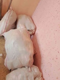 عندي ملابس تعزيلة محل جان ملابس وعزلتة فتحت اجهزة كهربائية عندي 17 شلي...