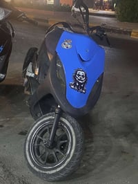 ماكس • معدل فول • شلعه