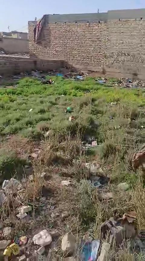 اسلام عليكم قطعه للبيع زراعي 200 في المعش بالفرع  مقابل حسينية كاظم الغيظ ع جميع الخدمات واصلتها مجاري ..
السعر حسب اسعار ب المنطقه ***********
