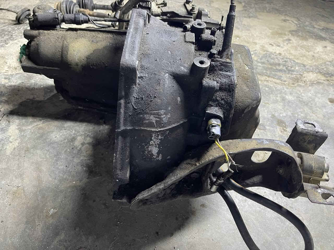 السلام عليكم كيرحاويه بي ضمان عل شد    ابو المدفع كامل درايم شفتات عصه كير فلاوين فايسنكير ينشد بدون عقل /رقمي*********** مكاني بغداد سعره600وبي مجال
