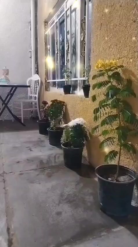 سلام عليكم متاح بيت في منطقة الحميديه شارع السبيس قرب سوق القديم البيت ركن صب مسلح مساحه 100متر يحتوي على ثلاث غرف مع حولي وحمام مشترك كامل خدمات ماء وكهرباء وتبليط سعر و الستفسار على الخاص


**إذا كنت صاحب هذا الإعلان وتريد حذفه لأي سبب، رجاءا أرسل رسالة إلى الدعم الفني**