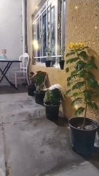 الحميديه شارع السبيس • ١٠٠م • ٣غرف