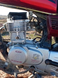 تايجر • ٢٠٢١ • معدل