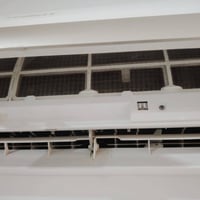 سبلت توسوت • ٢طن • نظيف