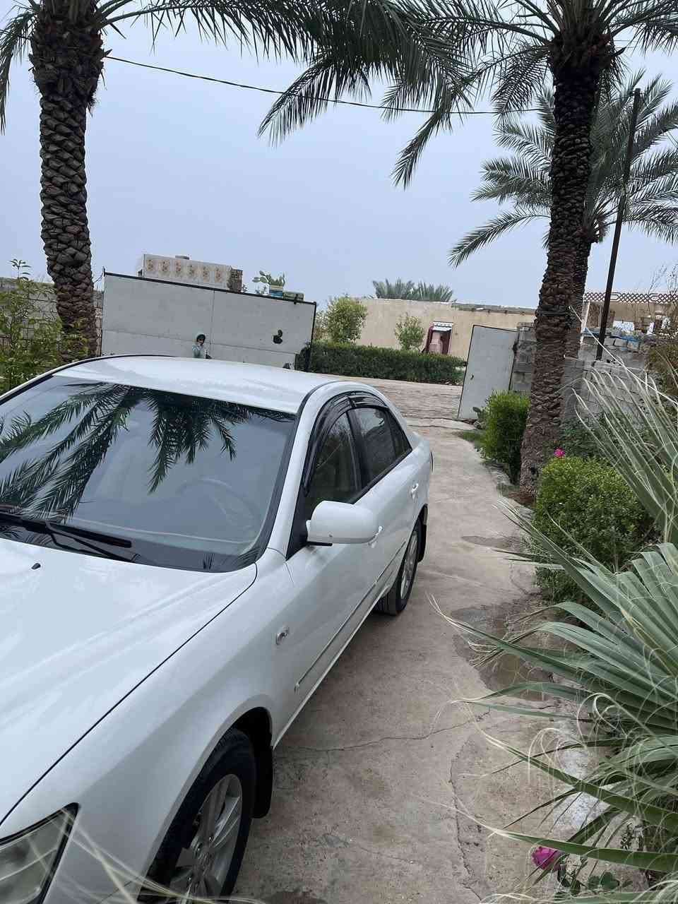 البيع سوناتا 2009رقم دهوك سنويه نافذه  مكينه 2000واسط الزبيديه ‭0771 443 7543‬.  0781 974 9879‬.
