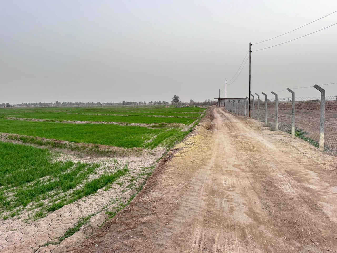 قطعه ارض 7 دونم طابو زراعي سند 25 

العنوان  بابل حله ورديه خارج منطقة البوطيف 
تبعد عن الشارع العام ٣٥٠ متر 

علما ان هذا الطريق حاصل على موافقة تبليط 
 يتوفر فيها كهرباء ومياه + ماء اساله ويوجد في داخلها  بناء مقطع ع شكل غرف 
وجميع الارض محاطه BRC  وارض خصبه صالحه للزراعه 
يمكن استغلالها ك مزارع ترفيهيه او سياحيه او سكن سعر الدونم 28 تحويل مباشر بأسم المشتري  
*********** اتصال او واتساب حلة, بابل
