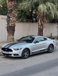 موستنک • ٢٠١٧ • نظيف