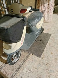 دراجة منغولي كفالة 07738037078