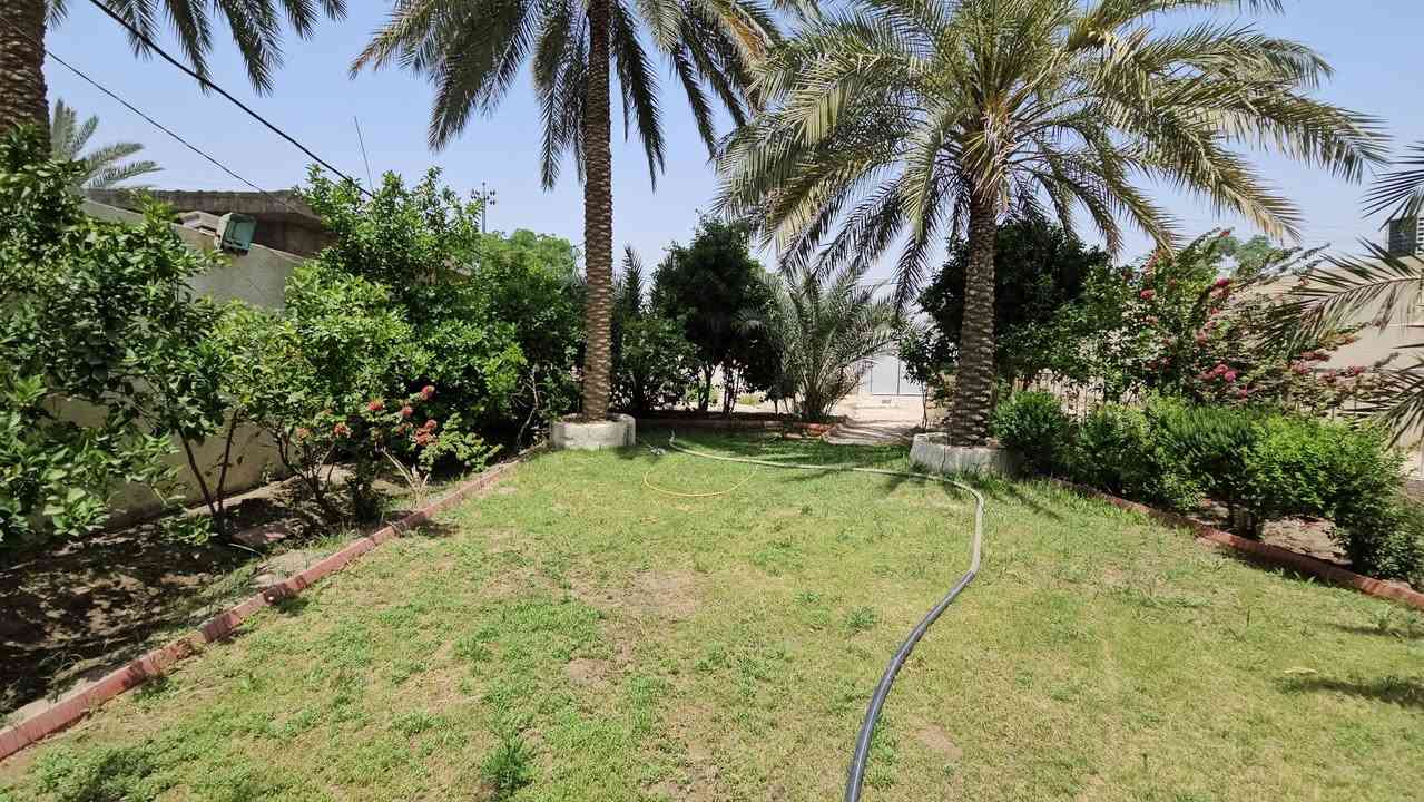 💥 المصداقية سر نجاحنا 💥 الملاك للعقارات كربلاء  

👈 الى أصحاب العوائل الكبيرة... إلى أصحاب المشاريع الصغيرة 》》 العقار يعتبر تجاري على شارع رئيسي 

💢 دونم مع ثلاثة منازل سكنية بناء حديث درجة أولى مساحة كل بيت قرابة ال 200 متر وطارمة وحديقة أمامية وشارع بعرض 8 م تقريبا جانبي وبستان خلف المنازل 
💢 المنزل الأول / أمامه حديقة وطارمة ويحتوي على غرفتين نوم وصاله واستقبال مفتوح على الصالة ومجمع صحيات خارجية وداخليه ومنور وممر خلفي ومطبخ حار وبارد ومخزن بيتونه 
💢 المنزل الثاني/ طارمة وصحيات خارجية وكلدور ومطبخ حار وبارد وصحيات داخلية وصالة واستقبال مفتوح على الصالة وغرفتين نوم ومخزن تحت الدرج ومنور وممر خلفي وكراج للسيارات مشابه لمحتويات المنزل الأول 
💢 المنزل الثالث/ طابقين الطابق الأول مشابه للمنزلين السابقين والطابق الثاني كذالك بيت فخم 
💢 اخيرا البستان يحتوي على عدد من النخيل والأشجار والورود 
💢 جنس الأرض طابو زراعي سند 25
💢 جميع الخدمات متوفرة 

💢 العنوان// كربلاء _ شارع بغداد عمود 55 _ خلف جامعة الزهراء _ قرب مدارس العميد الابتدائية _ الحسينية طريق مطبخ العتبة 
💲 السعر = ( اما تراسلنا واتساب أو تكتب السلام عليك يا فاطمة الزهراء ع ) 

🎬 اذا كنت شراي فعلا راسلني واتساب ادزلك فيديوا 7 دقائق يوضح جميع التفاصيل وداخل المنازل 
 

🔴عندك عقار للبيع و محتار  يم الملاك لا تحتار سهله ما عليك سوى التواصل معنا : 

☎️ ***********          ☎️ ***********
                  محمد أبو ملاك الحسناوي 

زوروا موقعنا : مكتب أملاك الخير _ شارع الرابط _ مقابيل المعمل المقرنص
