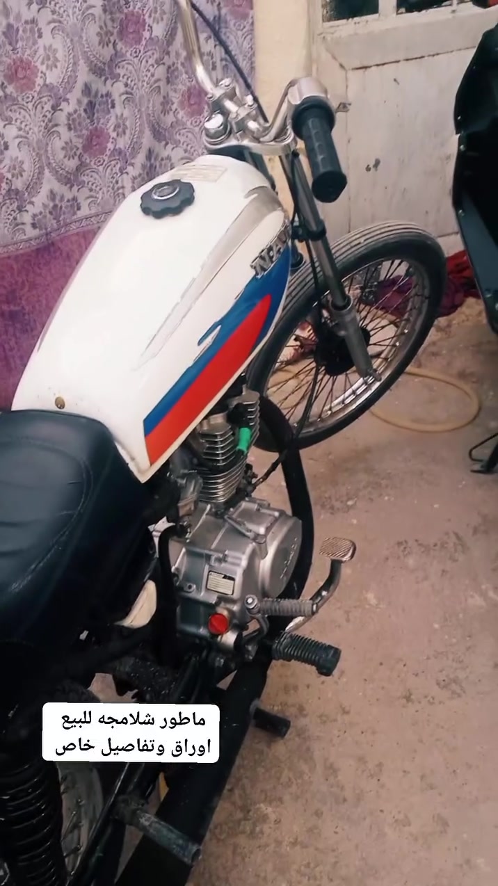 خاص مفتوح
راسلني وبيك خير دلل


**إذا كنت صاحب هذا الإعلان وتريد حذفه لأي سبب، رجاءا أرسل رسالة إلى الدعم الفني**