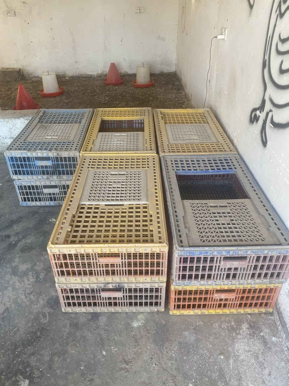 السلام عليكم غراض مجزرة دجاج البيع السعر خاص


**إذا كنت صاحب هذا الإعلان وتريد حذفه لأي سبب، رجاءا أرسل رسالة إلى الدعم الفني**