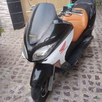 فورزا 08 • اوراق باسمي • كلجات جدد