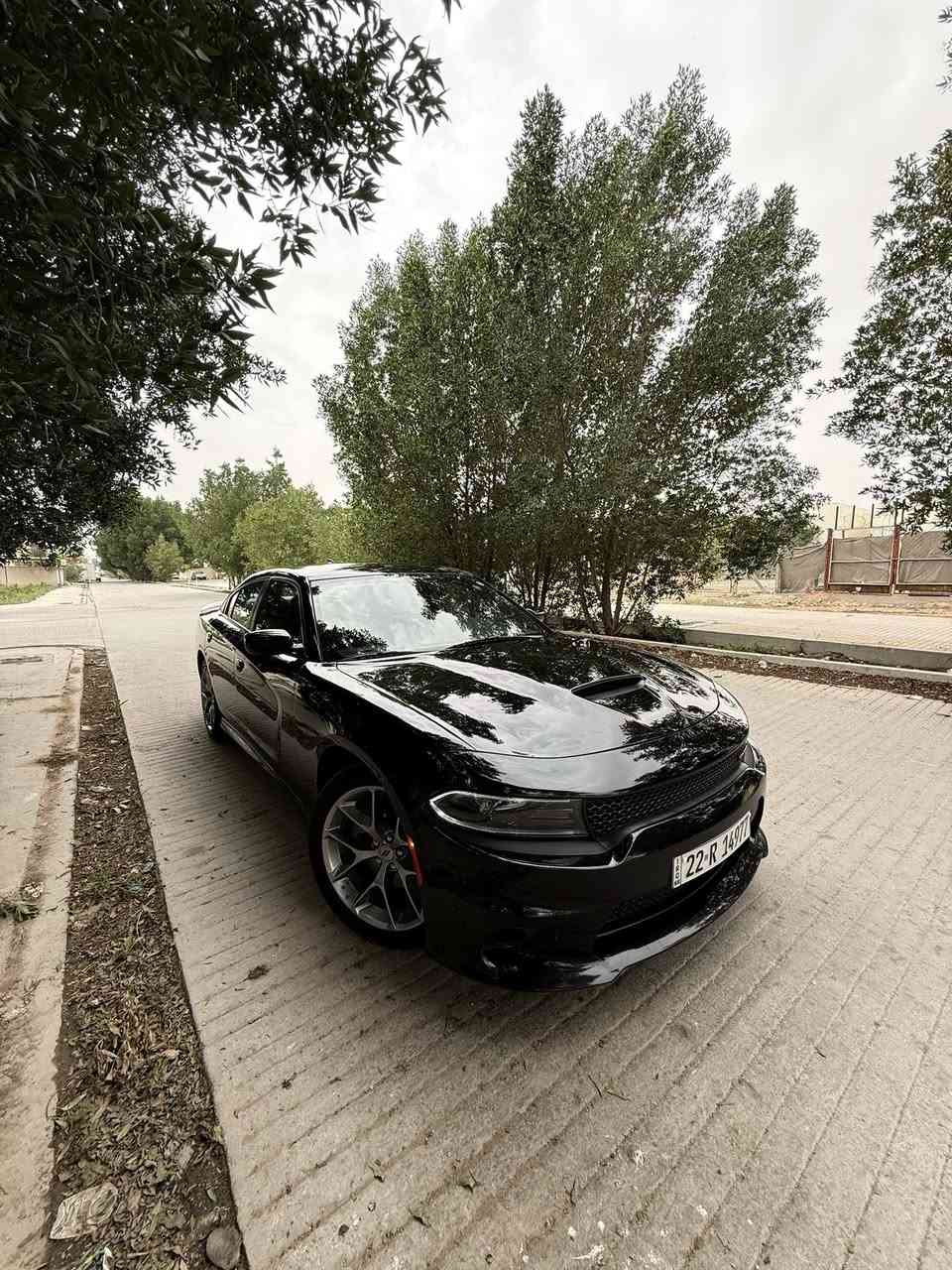 دوج جارجر GT
2023
ماشية 74 
سيارة جديدة جدا 
كل تفاصيلها داخل المنشور
السيارة بيها بارد بالبنيد فقط بدون 
ضرر ايرباك
4 قطع كلير من امريكا 
بدون فتح بدون معجون
فقط كلير
موجود السونار + تقرير الكار فاكس
السيارة عليها ادامة كاملة
تخم تاير جديد + حدادية جديدة
للاستفسار
***********
السعر 235$ وبيها مجال قليل جدا
