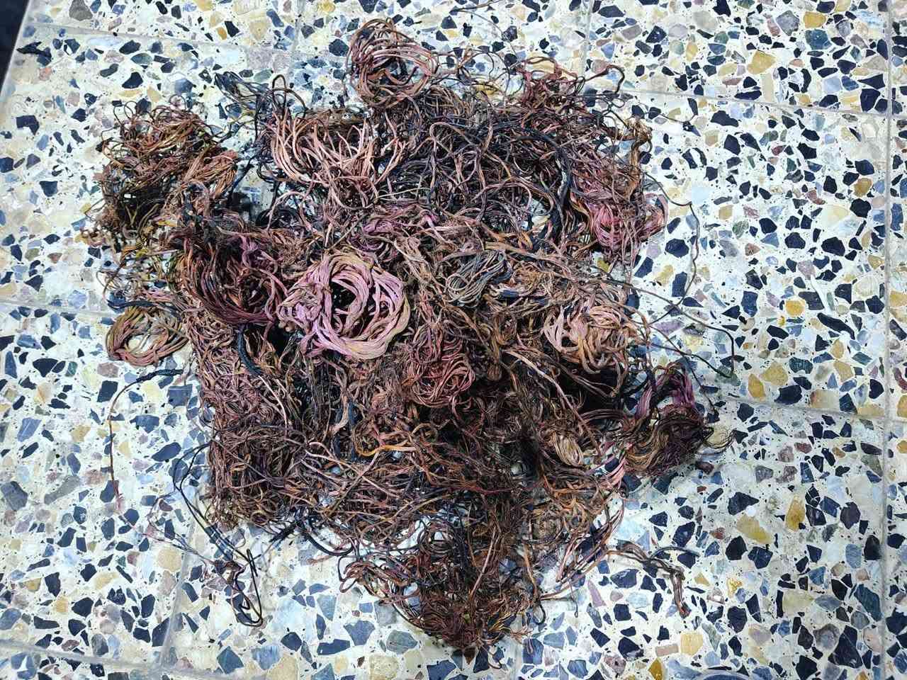 السلام عليكم نحاس حرك 8 كيلو وعندي اكثر من 50 كيلو بي حرك وبي زلغ ابيع أعلى سعر ابو 13 ما ابيع لا اتعبك ولا اتعبني مكاني بغداد حي البساتين وقسم با حسينيه الراشديه 
***********
