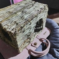 منام حيوانات • اول ٥