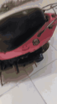 السعر 150 قفل
نقص فقط كفرات جاهزه وناعمه وحلوه  
مكاني قبله 
***********
