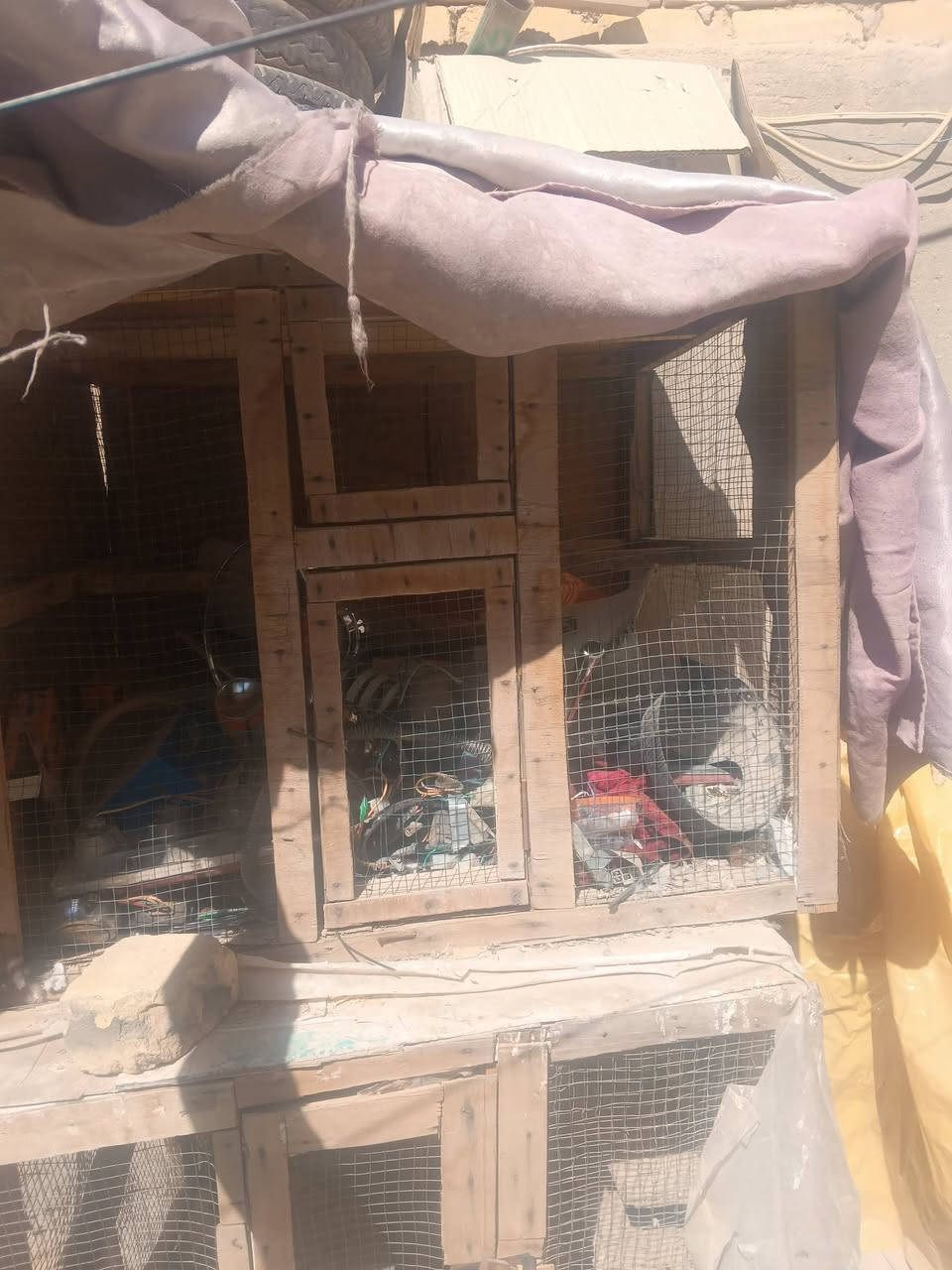 اقفاص للبيع كلمن وسعره مكاني شطره


**إذا كنت صاحب هذا الإعلان وتريد حذفه لأي سبب، رجاءا أرسل رسالة إلى الدعم الفني**