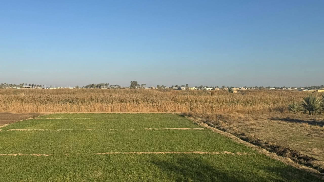 🔴 فرصة استثمار مميزة في الرمادي – زنكوره منطقة زويغير
🌊 واجهة مباشرة على السدّة والشط
📐 المساحة: دونم ونص
📏 الواجهة: 60 متر
📄 الجنس: طابو زراعي – سند 25
✍️ التحويل: مباشر باسم المشتري
⚡ الخدمات: ماء، كهرباء، طريق متوفرة بالكامل
✨ موقع نادر يصلح للاستثمار، مشاريع سياحية، أو استغلال زراعي ناجح

📞 للاستفسار: ***********3
