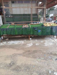 بصطيات للبيع عدد2 وسيم امريكي ارتفاع 3امتار وعرضه 5 سعرهن 400وبيهن مجا...