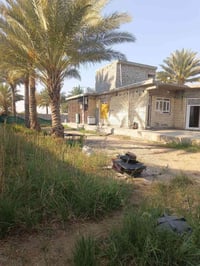 ارض وبيت • ١٢٥٠م • طابو زراعي