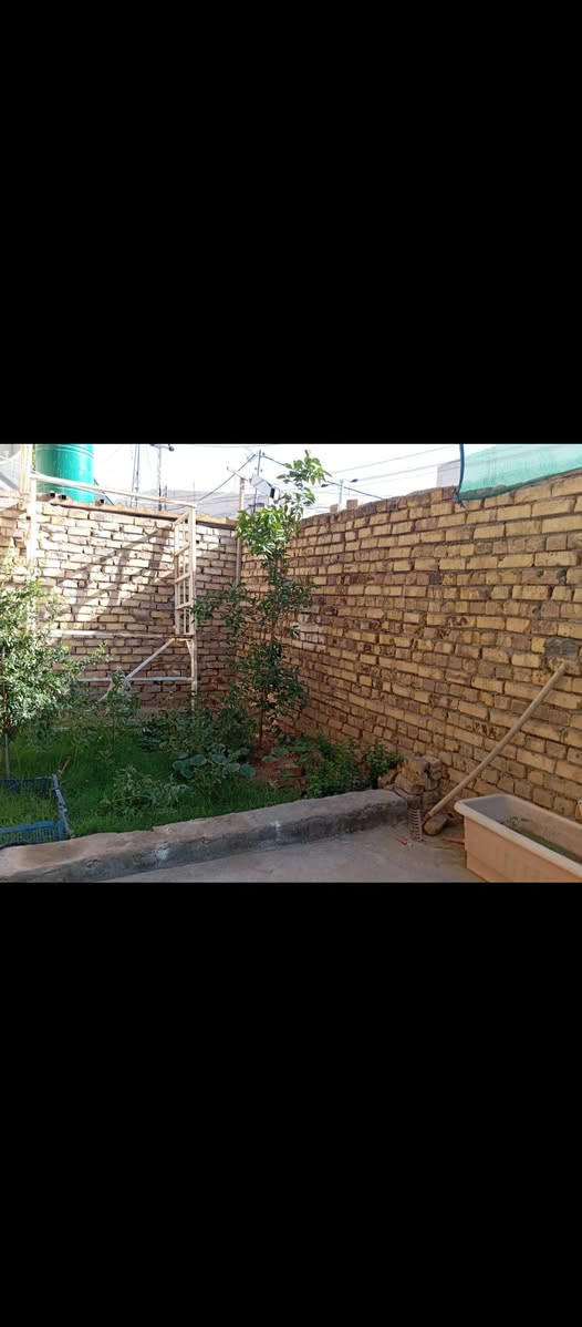 بيت للبيع ابو خستاوي جهه المرور فرع سيد علي مساحته 220 طابو زراعي سند 25 طابقين 4غرف نوم مجمع صحي فوك وجوه +حديقه صغيره سعره 110 وبي مجال ***********

